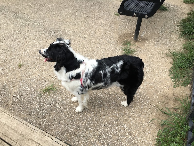 Ruth Rafferty Peyton Dog Park - Charleston, WV