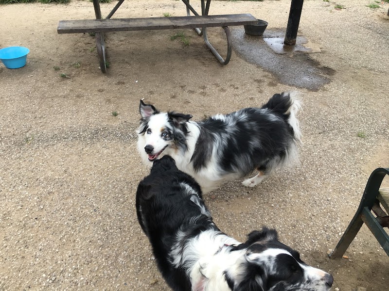 Ruth Rafferty Peyton Dog Park - Charleston, WV