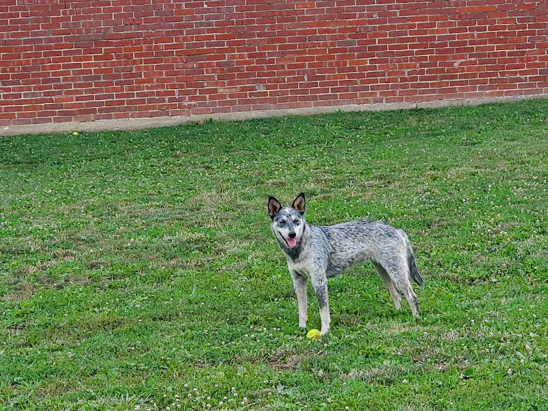 Ruth Rafferty Peyton Dog Park - Charleston, WV