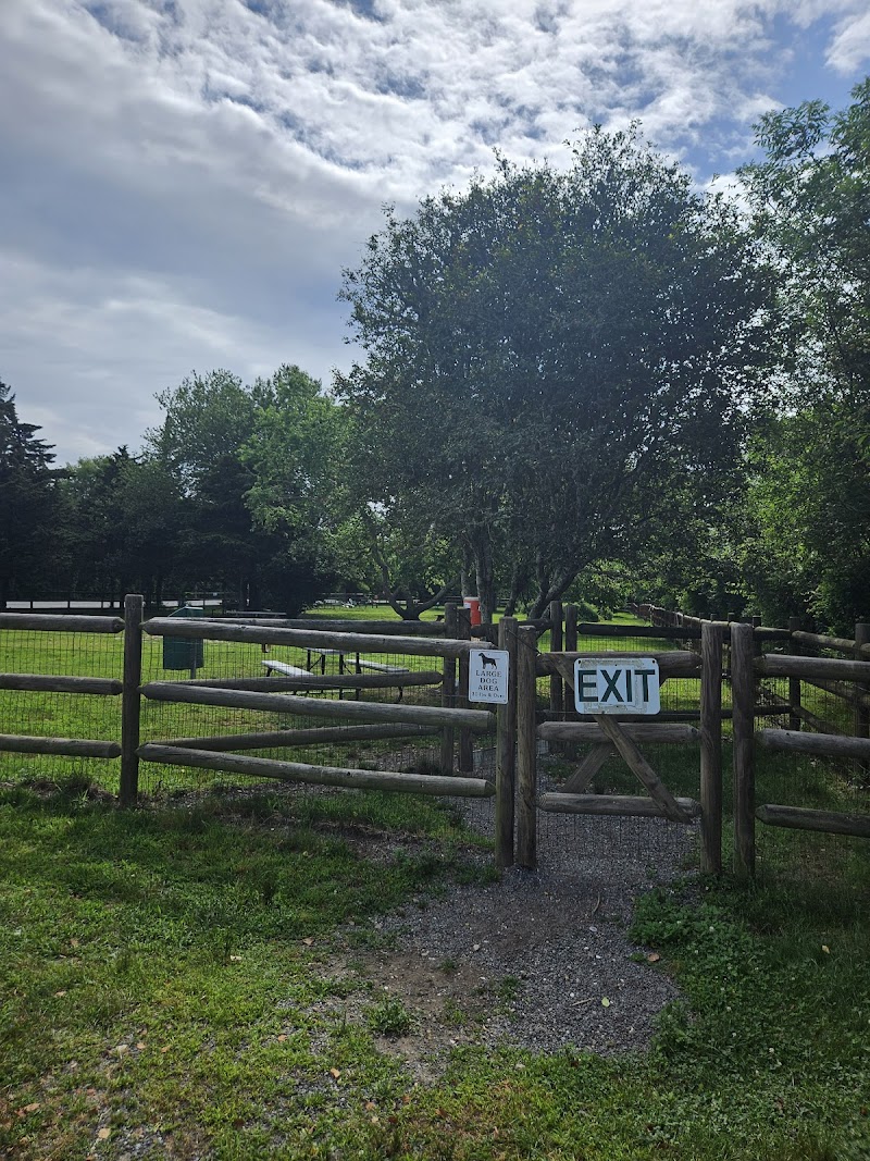 Charlestown dog park