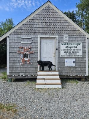 Charlestown dog park