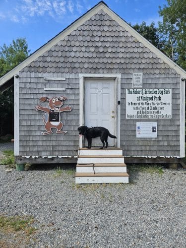 Charlestown dog park