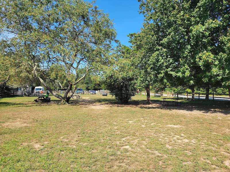 Charlestown dog park