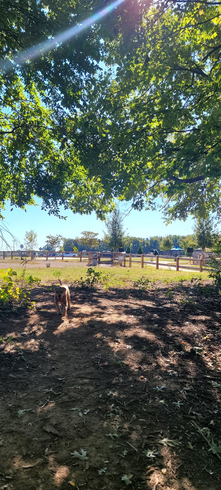 Dog Park at Clarks Creek Community Park