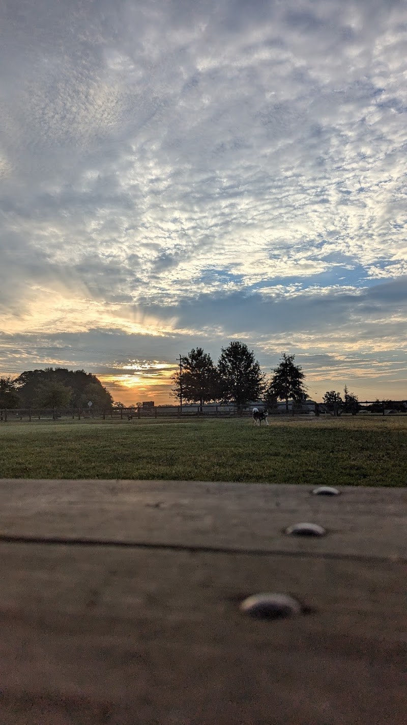 Dog Park at Clarks Creek Community Park