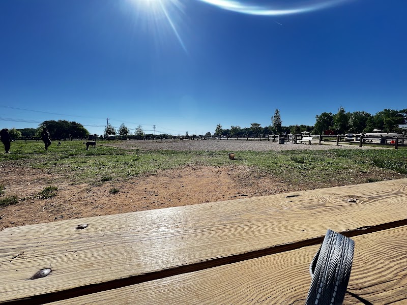 Dog Park at Clarks Creek Community Park