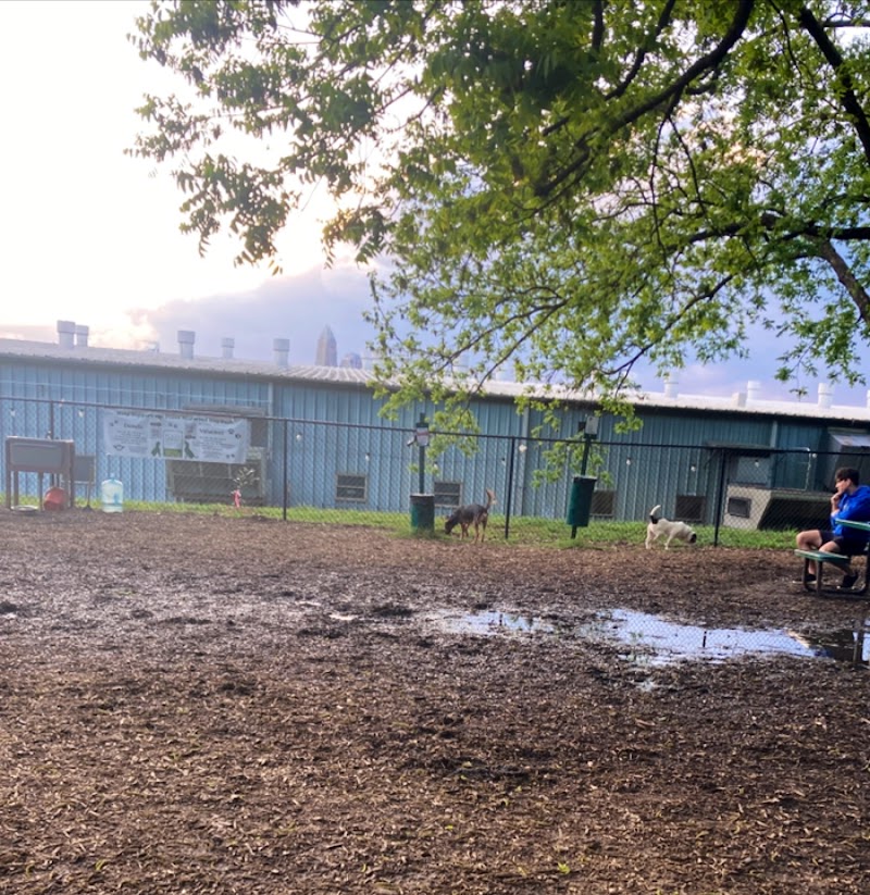 Plaza Midwood Neighborhood Association Dog Park
