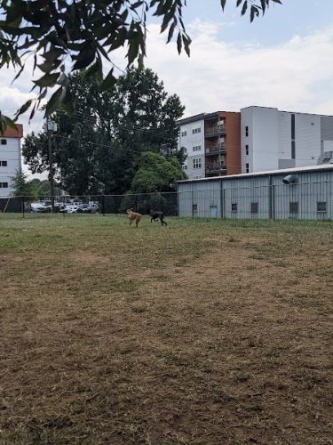 Plaza Midwood Neighborhood Association Dog Park