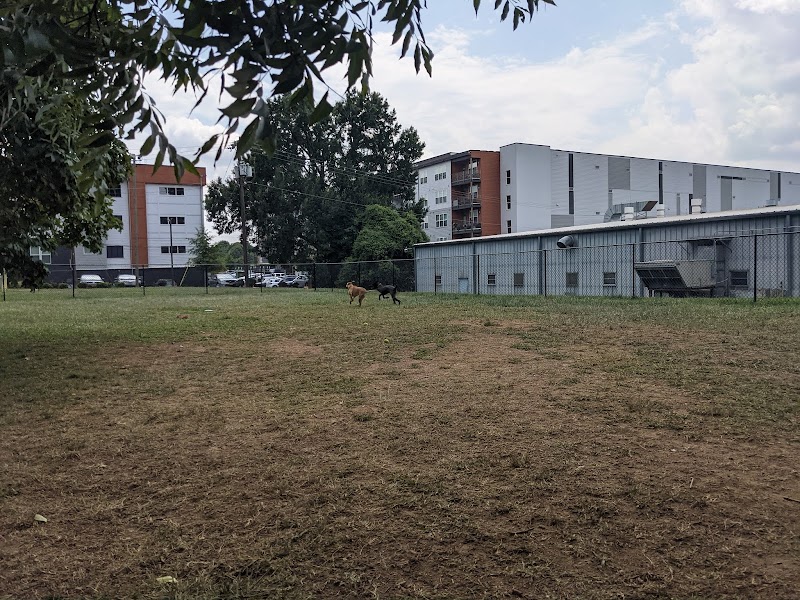 Plaza Midwood Neighborhood Association Dog Park