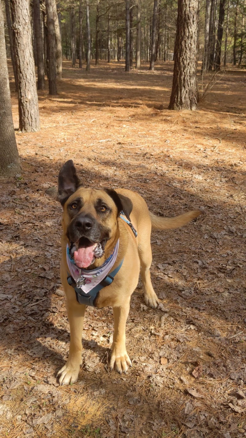 Shuffletown Dog Park