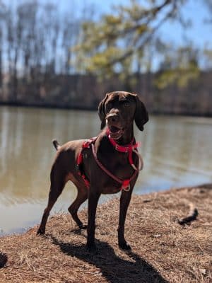 Whitewater Center Off Leash