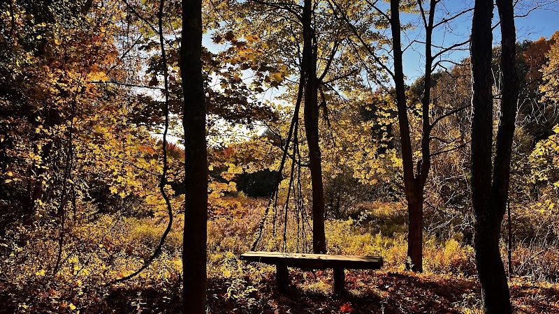Borden's - Chatham, NY