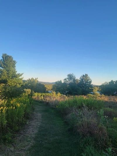 Ooms - Chatham, NY