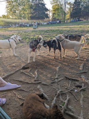 Heritage Park Dog Park Off-Leash