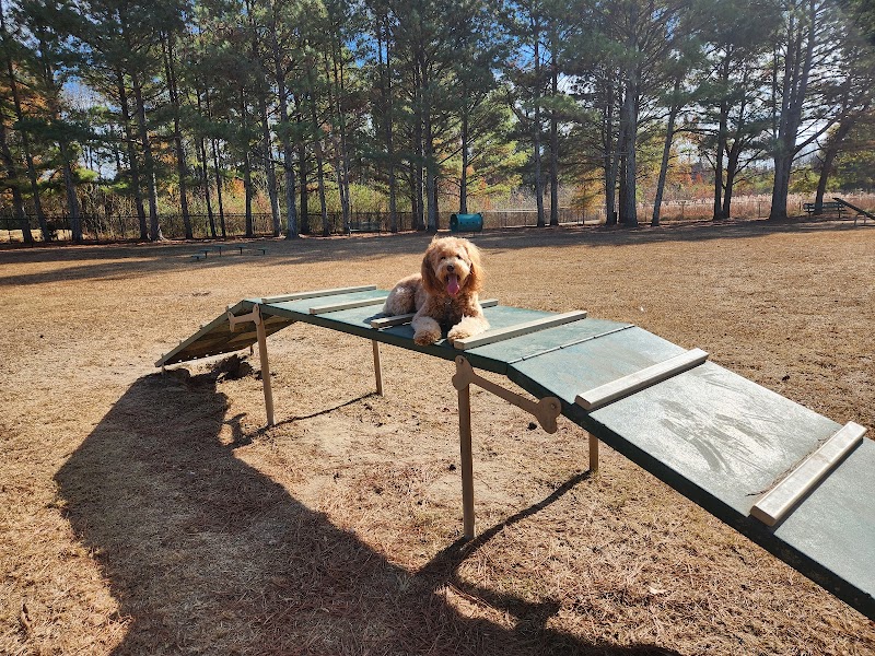 Heritage Park Dog Park Off-Leash - Chattanooga, TN