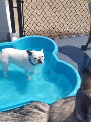 Play Wash Stay