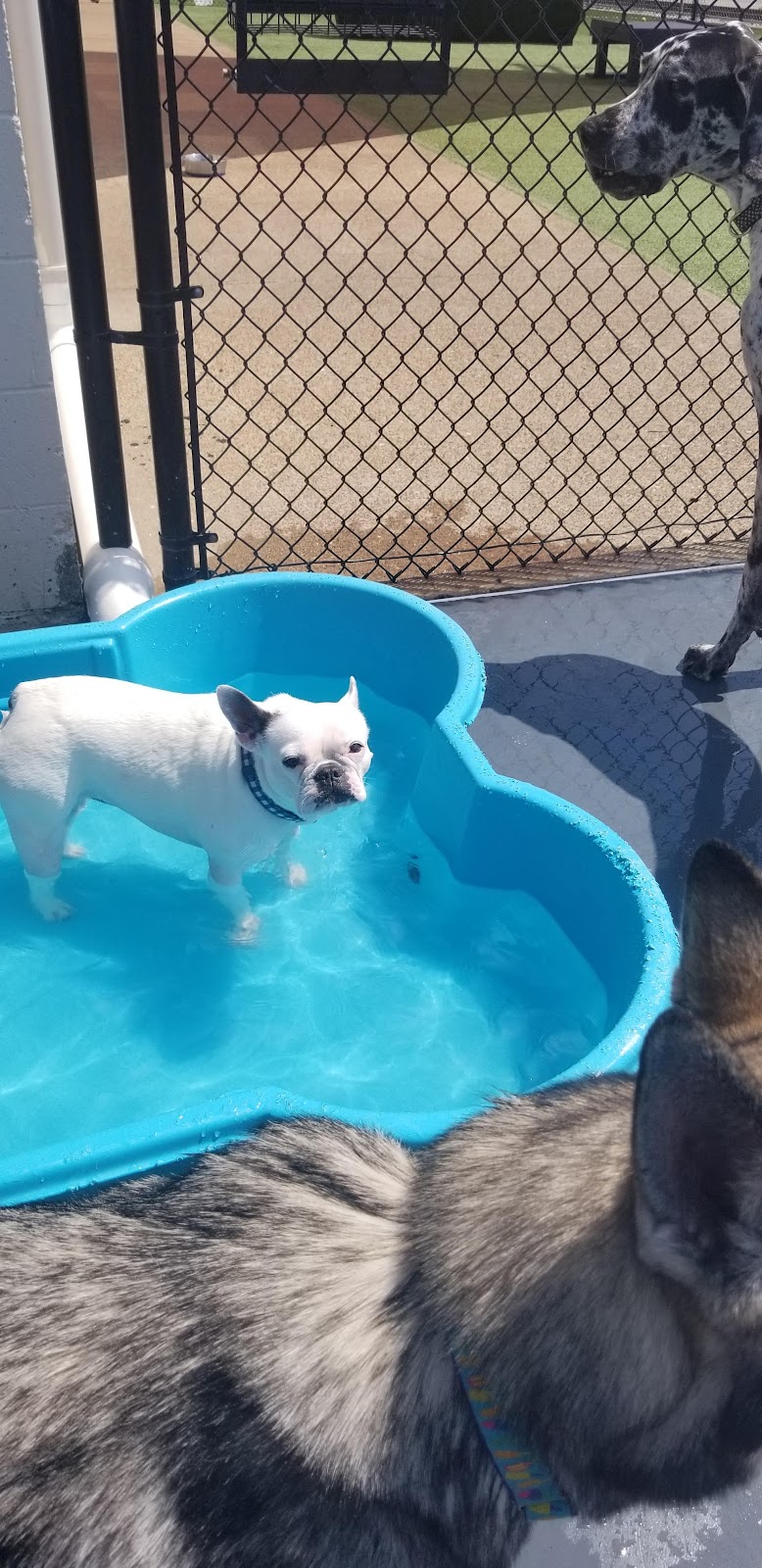 Play Wash Stay - Chattanooga, TN