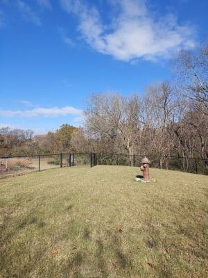 St Elmo South Dog Park