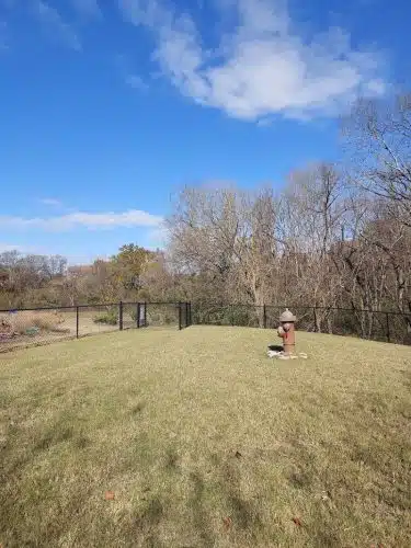 St Elmo South Dog Park