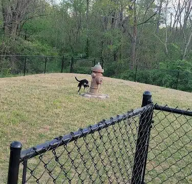 St Elmo South Dog Park