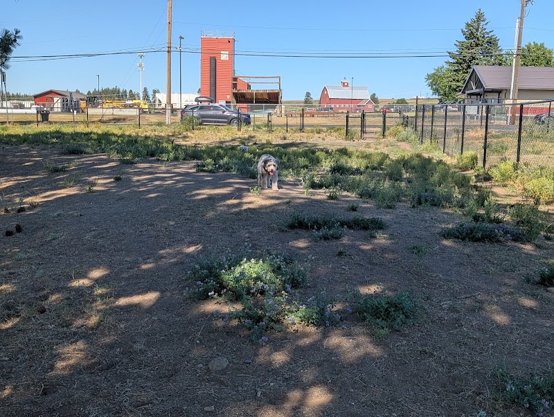 Cheney Dog Park - Cheney, WA