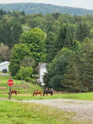 Cherry Creek Campground and Recreation