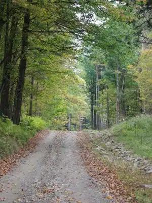 Cherry Creek Campground and Recreation