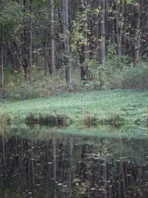 Cherry Creek Campground and Recreation