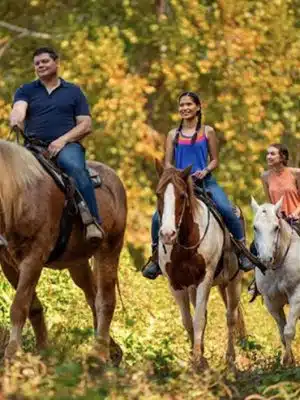 Cherry Creek Campground and Recreation