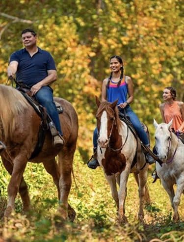 Cherry Creek Campground and Recreation
