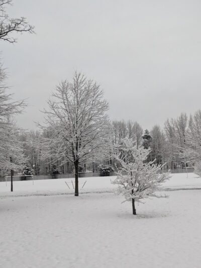Fenton Lane Park - Chesterfield, NJ