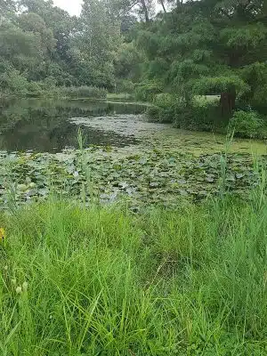 Coffee Creek Park