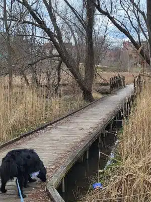 Coffee Creek Park