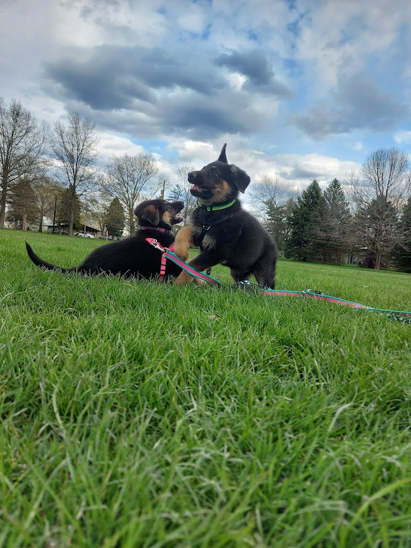 Dogwood Soccer Fields - Chesterton, IN