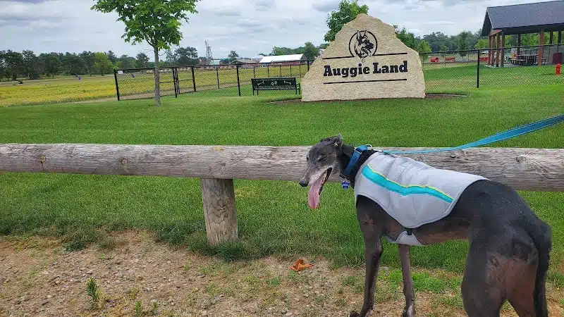 Auggie Land - Chetek, WI