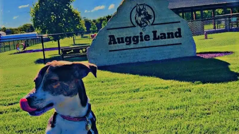 Auggie Land - Chetek, WI