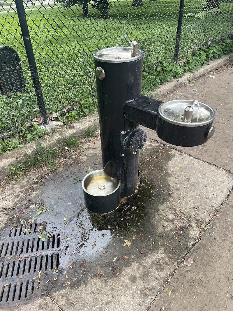 Calumet Bark - Chicago, IL