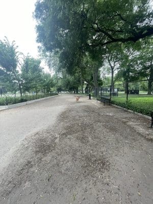 Calumet Bark