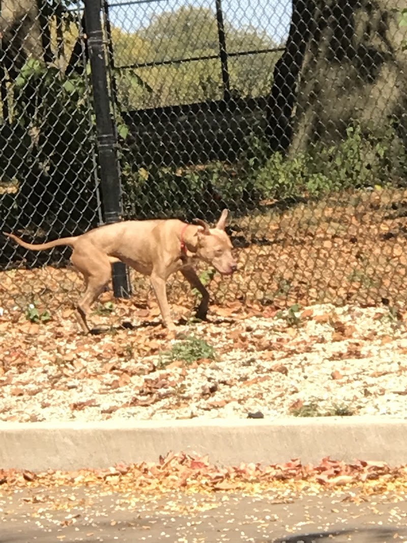 Calumet Bark - Chicago, IL