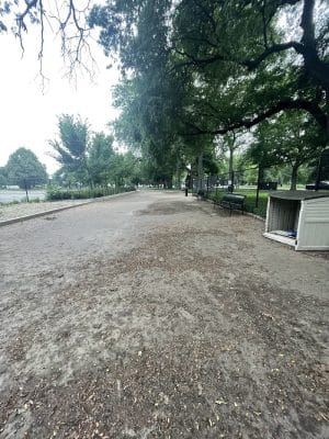Calumet Bark