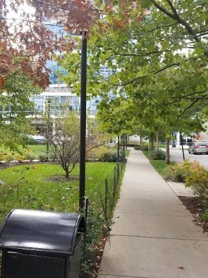 Lakeshore East Dog Park