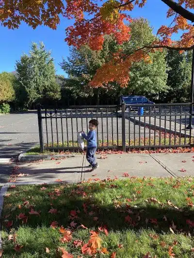Lucy M. Wisniowski Memorial park - Chicopee, MA
