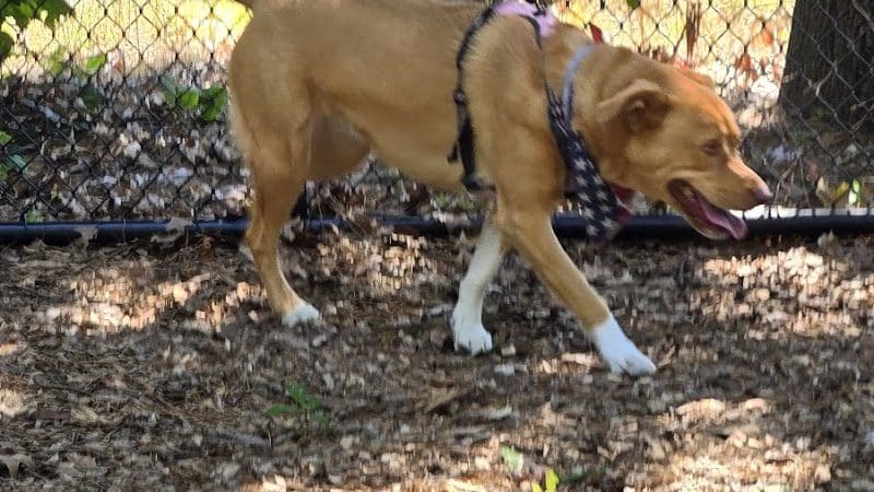 Western Massachusetts Post 9/11 and Service Dog Memorial Park - Chicopee, MA