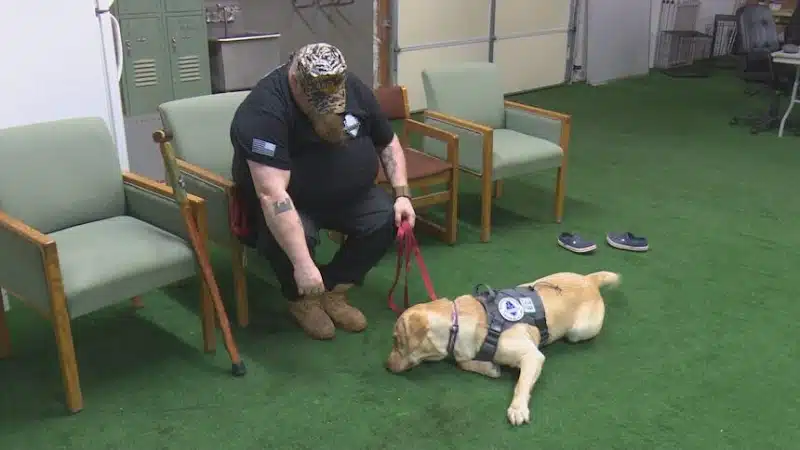 Chillicothe Park District Operations/Freedom Paws Service Dogs - Chillicothe, IL