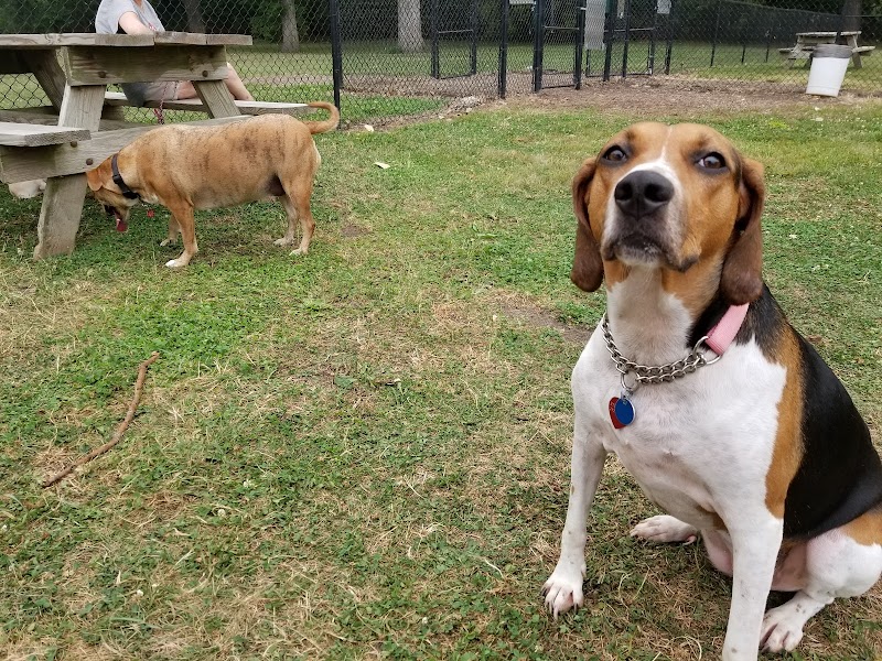 Walnut Dog Park - Chillicothe, IL