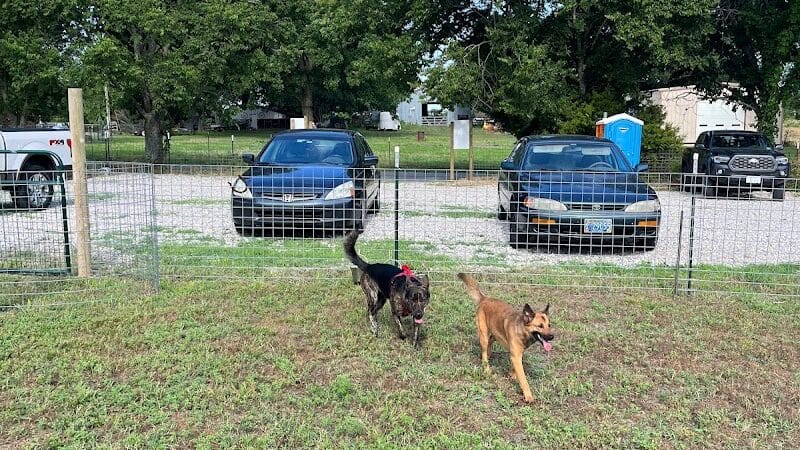 OutRun Dogs - Claremore, OK