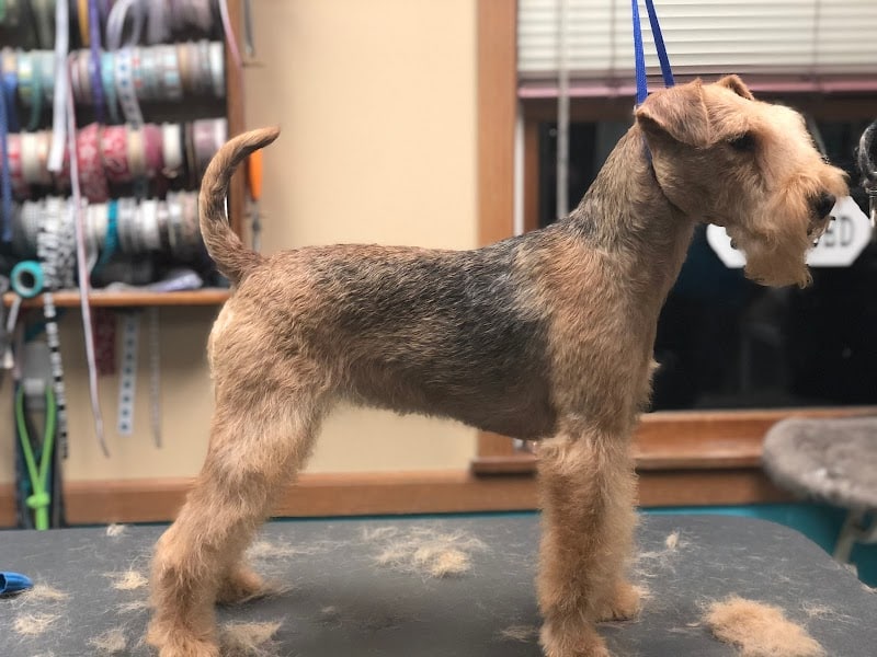 Pampered Paws-N-Claws - Claridge, PA