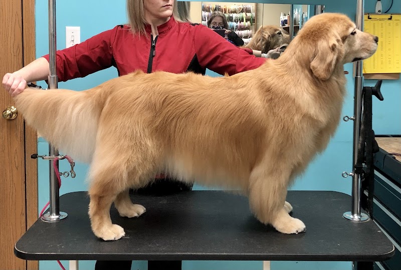 Pampered Paws-N-Claws - Claridge, PA