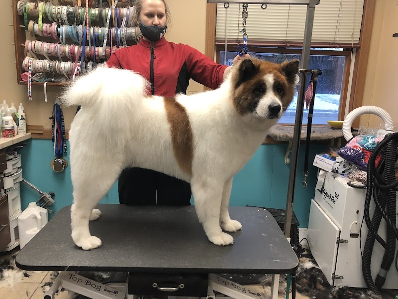 Pampered Paws-N-Claws - Claridge, PA