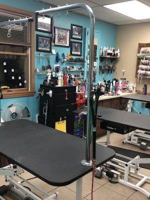 Pampered Paws-N-Claws